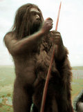 Neanderthal.jpg